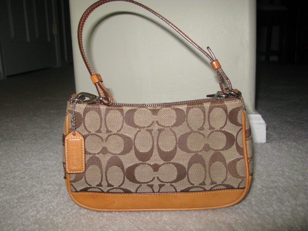 Coach Grows 24% as Kate Spade Falls 10% Inside Tapestry’s Handbag Portfolio
